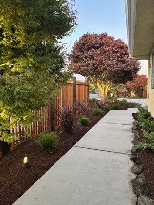 New redwood fence, fresh landscaping, outdoor lighting and sleek concrete work.