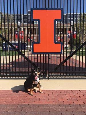 I-L-L ...Colby takes a road trip!!