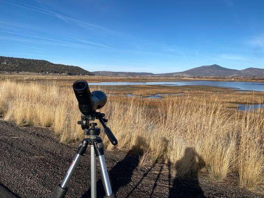 A great birding spot!!