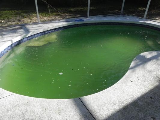 Is your pool safe?