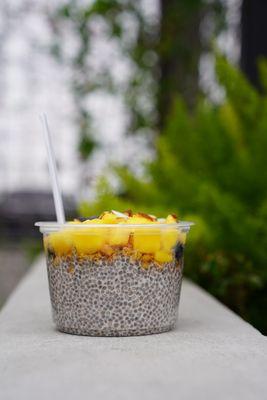 Chia seed pudding bowl