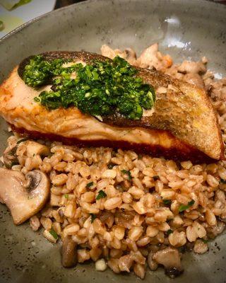 Salmon with farro and Wild Mushrooms