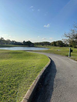 Par 3, 7th hole over water