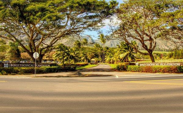 Welcoming entrance to Maui OMA Coffee's new retail site.