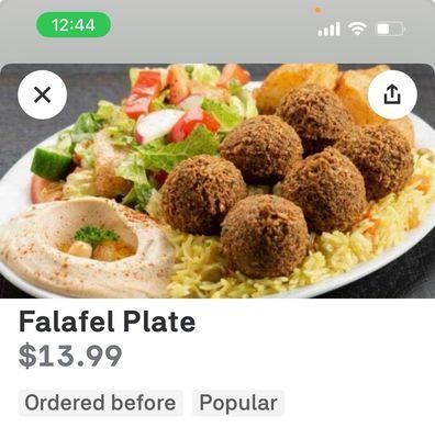 Falafel plate that was on the website vs what I actually got.