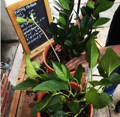 Pick a pot, pick a plant, and use our potting station to plant something new.