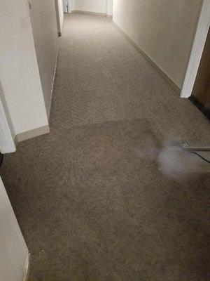 Commercial Carpet Cleaning