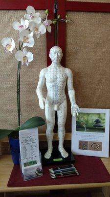 This is "Acupuncture Man" showing you the different meridians and points used in an acupuncture treatment.