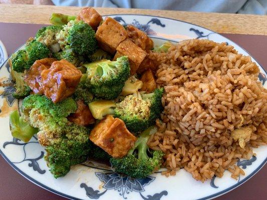 Tofu & Broccoli with brown sauce