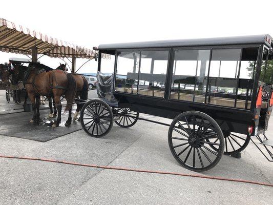 Amish tour : buggy ride