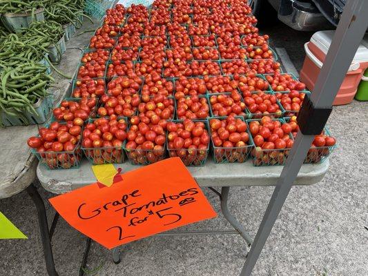 Grape Tomatoes are in season!