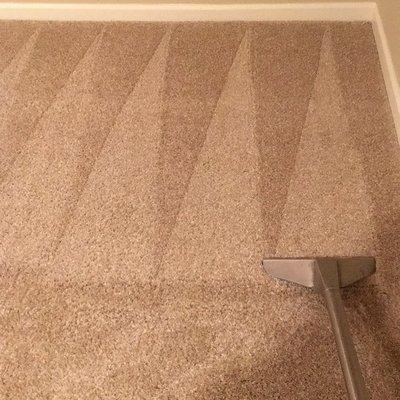 Bronco Pro Kleen Carpet Cleaning Denver Englewood Lakewood Littleton Wheat Ridge Parker Centennial Golden carpet cleaner in Arvada Colorado