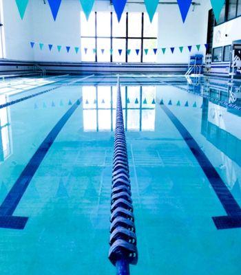 Our lap pool at Alameda Fitness and Spa. Come swim with us!