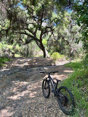 Specialized Stump jumper