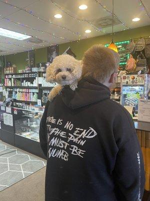 Remi loves VJ! He knows when we're in the parking lot and gets all excited! Vape Jungle is, hands down, THE BEST VAPE STORE IN WALDORF!