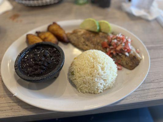 Snapper, rice and beans, maduros