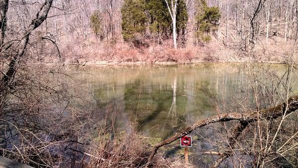 No fishing in the duck pond.