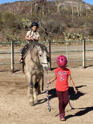 Pony rides