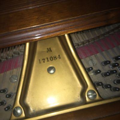 View of a Steinway, grand, serial number, and model letter