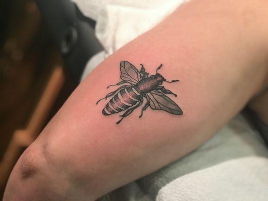 Realistic bug tattoo done at shamanic ink tattoo shop