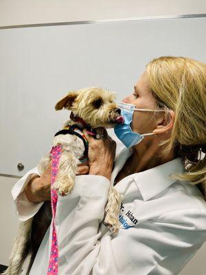 Kissing Dr Hoffman on a 6 months post op revisit. Thank you Dr Hoffman for giving this young dog her eye sight.