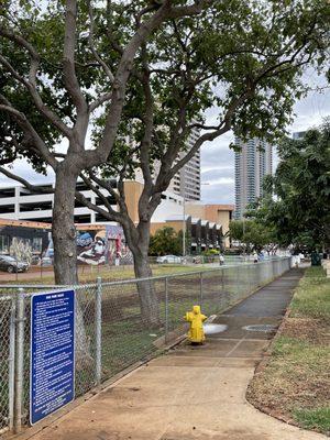 The dog park is a muddy mess after the morning downpour