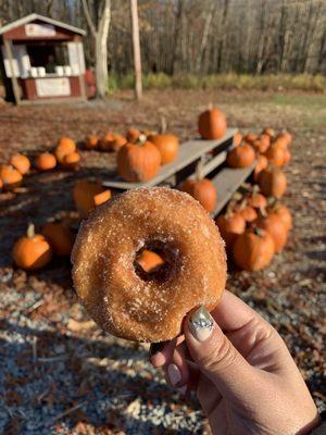 Apple cider doughnut