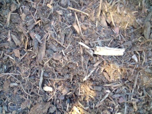 White chunks of wood mixed in with bark