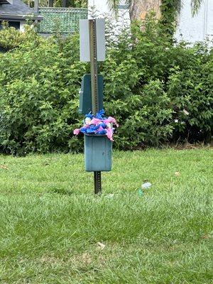 Dog poop and other garbage left for long period of time