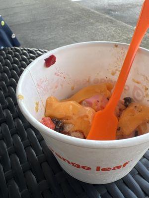 Orange Leaf Frozen Yogurt