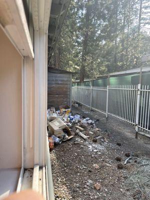 Looking outside of the window in the bathroom looking out into the back of the hotel. Saw an employee throwing trash onto the pile.