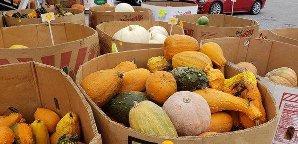 Pumpkin Graveyard