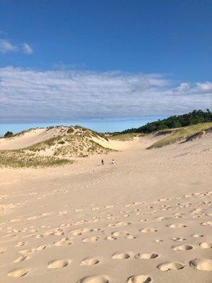 Ludington State Park sand dunes