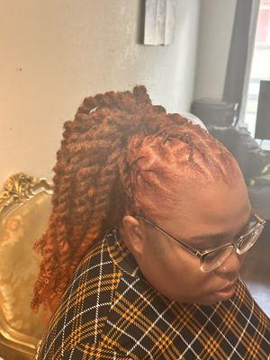 Color & Re-Twist, Twists over Locs, & Style