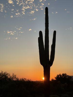 sunset at lost Dutchman state park