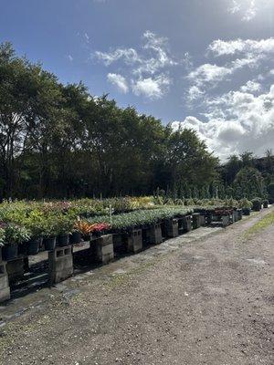 Gardening Angel Nursery