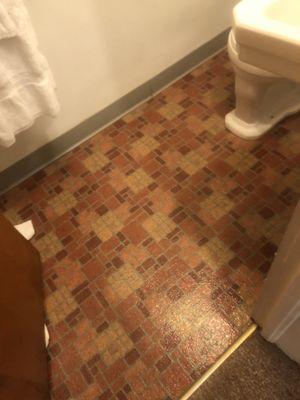 Outdated nasty tile. Stepped on something when I entered.  Didn't want to know what