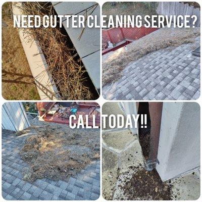 Let us help you to keep your Gutter System clean and avoid future damage