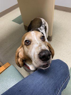 Mr. Otis getting his lumps and bumps checked.