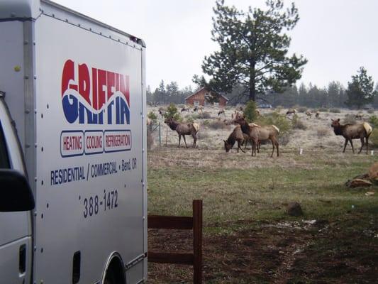 Beautiful Central Oregon Wildlife