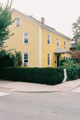 Trimmed Hedge-Bush