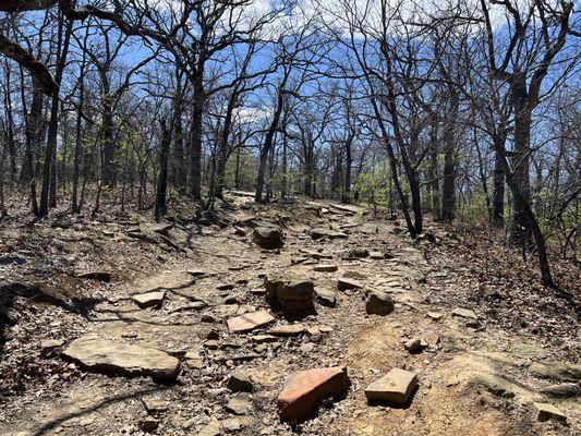 Some of the terrain of the trails.