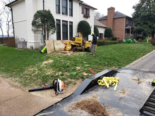 Stump removal