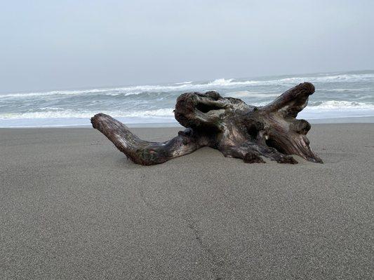 view out from the beach