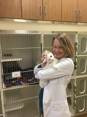 Dr. Felicia Neuman, DVM holding one of our visiting cats