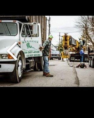 Belgian Tree Service