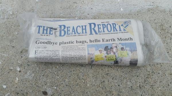 The Beach Reporter