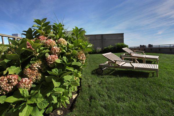 Landscaped Rooftop Terrace