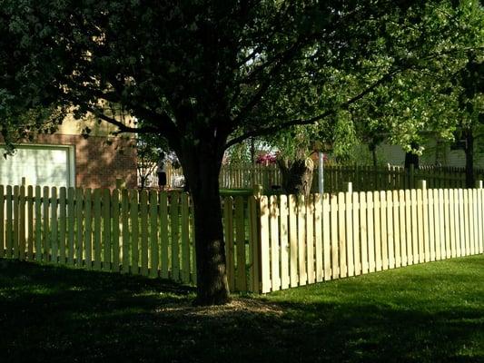 Wood fence