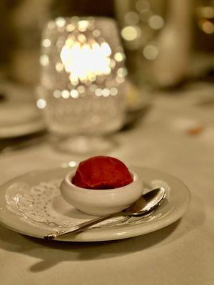 House Made Sorbet - Palate cleanser